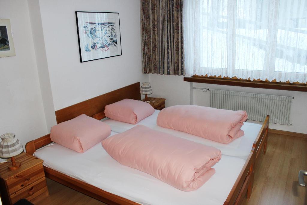 Casa Collina Apartment Disentis Ruang foto